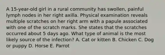 A 15-year-old girl in a rural community has swollen, painful lymph nodes in her right axilla. Physical examination reveals multiple scratches on her right arm with a papule associated with one of the scratch marks. She states that the scratches occurred about 5 days ago. What type of animal is the most likely source of the infection? A. Cat or kitten B. Chicken C. Dog or puppy D. Horse E. Parrot