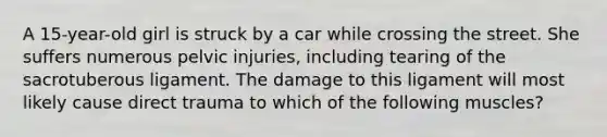 A 15-year-old girl is struck by a car while crossing the street. She suffers numerous pelvic injuries, including tearing of the sacrotuberous ligament. The damage to this ligament will most likely cause direct trauma to which of the following muscles?