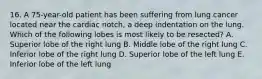 16. A 75-year-old patient has been suffering from lung cancer located near the cardiac notch, a deep indentation on the lung. Which of the following lobes is most likely to be resected? A. Superior lobe of the right lung B. Middle lobe of the right lung C. Inferior lobe of the right lung D. Superior lobe of the left lung E. Inferior lobe of the left lung