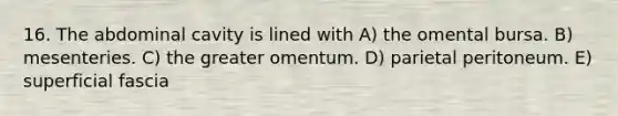 16. The abdominal cavity is lined with A) the omental bursa. B) mesenteries. C) the greater omentum. D) parietal peritoneum. E) superficial fascia