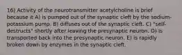 16) Activity of the neurotransmitter acetylcholine is brief because it A) is pumped out of the synaptic cleft by the sodium-potassium pump. B) diffuses out of the synaptic cleft. C) "self-destructs" shortly after leaving the presynaptic neuron. D) is transported back into the presynaptic neuron. E) is rapidly broken down by enzymes in the synaptic cleft.