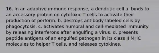 16. In an adaptive immune response, a dendritic cell a. binds to an accessory protein on cytotoxic T cells to activate their production of perform. b. destroys antibody-labeled cells by phagocytosis. c. activates humoral and cell-mediated immunity by releasing interferons after engulfing a virus. d. presents peptide antigens of an engulfed pathogen in its class II MHC molecules to helper T cells, and releases cytokines.