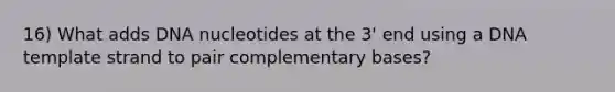 16) What adds DNA nucleotides at the 3' end using a DNA template strand to pair complementary bases?