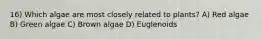 16) Which algae are most closely related to plants? A) Red algae B) Green algae C) Brown algae D) Euglenoids
