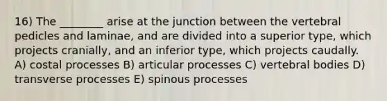 16) The ________ arise at the junction between the vertebral pedicles and laminae, and are divided into a superior type, which projects cranially, and an inferior type, which projects caudally. A) costal processes B) articular processes C) vertebral bodies D) transverse processes E) spinous processes