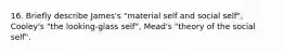 16. Briefly describe James's "material self and social self", Cooley's "the looking-glass self", Mead's "theory of the social self".