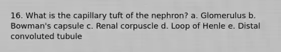 16. What is the capillary tuft of the nephron? a. Glomerulus b. Bowman's capsule c. Renal corpuscle d. Loop of Henle e. Distal convoluted tubule