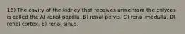 16) The cavity of the kidney that receives urine from the calyces is called the A) renal papilla. B) renal pelvis. C) renal medulla. D) renal cortex. E) renal sinus.