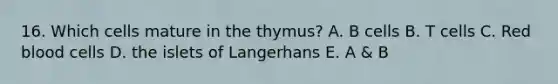 16. Which cells mature in the thymus? A. B cells B. T cells C. Red blood cells D. the islets of Langerhans E. A & B