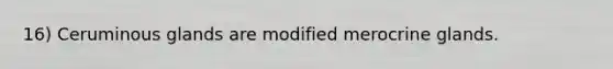 16) Ceruminous glands are modified merocrine glands.