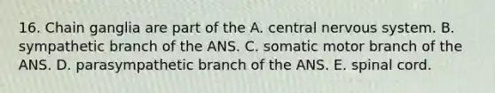 16. Chain ganglia are part of the A. central nervous system. B. sympathetic branch of the ANS. C. somatic motor branch of the ANS. D. parasympathetic branch of the ANS. E. spinal cord.