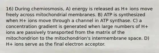 16) During chemiosmosis, A) energy is released as H+ ions move freely across mitochondrial membranes. B) ATP is synthesized when H+ ions move through a channel in ATP synthase. C) a concentration gradient is generated when large numbers of H+ ions are passively transported from the matrix of the mitochondrion to the mitochondrion's intermembrane space. D) H+ ions serve as the final electron acceptor.