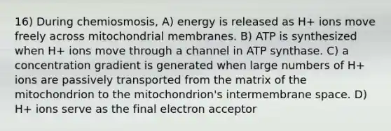 16) During chemiosmosis, A) energy is released as H+ ions move freely across mitochondrial membranes. B) ATP is synthesized when H+ ions move through a channel in ATP synthase. C) a concentration gradient is generated when large numbers of H+ ions are passively transported from the matrix of the mitochondrion to the mitochondrion's intermembrane space. D) H+ ions serve as the final electron acceptor