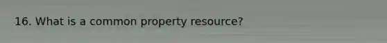 16. What is a common property resource?