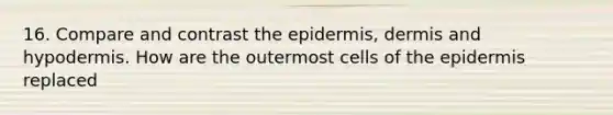 16. Compare and contrast the epidermis, dermis and hypodermis. How are the outermost cells of the epidermis replaced