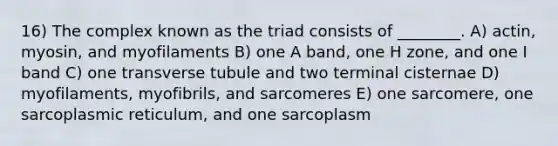 16) The complex known as the triad consists of ________. A) actin, myosin, and myofilaments B) one A band, one H zone, and one I band C) one transverse tubule and two terminal cisternae D) myofilaments, myofibrils, and sarcomeres E) one sarcomere, one sarcoplasmic reticulum, and one sarcoplasm