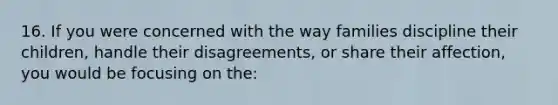 16. If you were concerned with the way families discipline their children, handle their disagreements, or share their affection, you would be focusing on the: