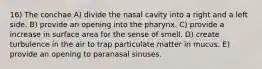 16) The conchae A) divide the nasal cavity into a right and a left side. B) provide an opening into the pharynx. C) provide a increase in surface area for the sense of smell. D) create turbulence in the air to trap particulate matter in mucus. E) provide an opening to paranasal sinuses.