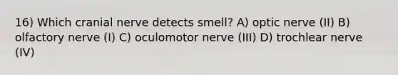 16) Which cranial nerve detects smell? A) optic nerve (II) B) olfactory nerve (I) C) oculomotor nerve (III) D) trochlear nerve (IV)