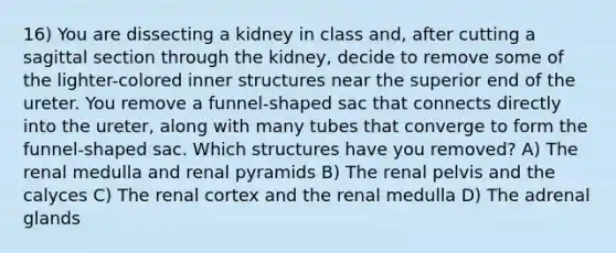 16) You are dissecting a kidney in class and, after cutting a sagittal section through the kidney, decide to remove some of the lighter-colored inner structures near the superior end of the ureter. You remove a funnel-shaped sac that connects directly into the ureter, along with many tubes that converge to form the funnel-shaped sac. Which structures have you removed? A) The renal medulla and renal pyramids B) The renal pelvis and the calyces C) The renal cortex and the renal medulla D) The adrenal glands