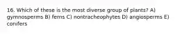 16. Which of these is the most diverse group of plants? A) gymnosperms B) ferns C) nontracheophytes D) angiosperms E) conifers