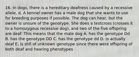 16. In dogs, there is a hereditary deafness caused by a recessive allele, d. A kennel owner has a male dog that she wants to use for breeding purposes if possible. The dog can hear, but the owner is unsure of the genotype. She does a testcross (crosses it to a homozygous recessive dog), and two of the five offspring are deaf. This means that the male dog A. has the genotype Dd B. has the genotype DD C. has the genotype dd D. is actually deaf E. is still of unknown genotype since there were offspring of both deaf and hearing phenotypes