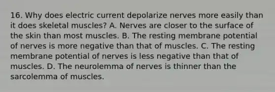 16. Why does electric current depolarize nerves more easily than it does skeletal muscles? A. Nerves are closer to the surface of the skin than most muscles. B. The resting membrane potential of nerves is more negative than that of muscles. C. The resting membrane potential of nerves is less negative than that of muscles. D. The neurolemma of nerves is thinner than the sarcolemma of muscles.