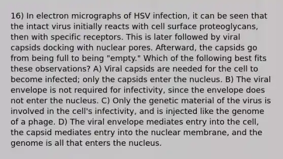 16) In electron micrographs of HSV infection, it can be seen that the intact virus initially reacts with cell surface proteoglycans, then with specific receptors. This is later followed by viral capsids docking with nuclear pores. Afterward, the capsids go from being full to being "empty." Which of the following best fits these observations? A) Viral capsids are needed for the cell to become infected; only the capsids enter the nucleus. B) The viral envelope is not required for infectivity, since the envelope does not enter the nucleus. C) Only the genetic material of the virus is involved in the cell's infectivity, and is injected like the genome of a phage. D) The viral envelope mediates entry into the cell, the capsid mediates entry into the nuclear membrane, and the genome is all that enters the nucleus.