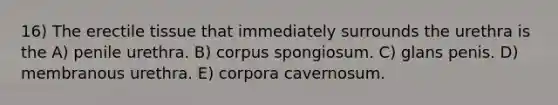 16) The erectile tissue that immediately surrounds the urethra is the A) penile urethra. B) corpus spongiosum. C) glans penis. D) membranous urethra. E) corpora cavernosum.