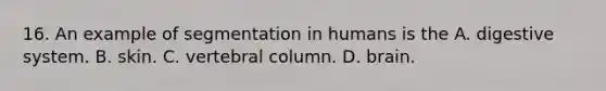 16. An example of segmentation in humans is the A. digestive system. B. skin. C. vertebral column. D. brain.