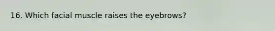 16. Which facial muscle raises the eyebrows?