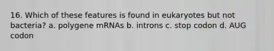 16. Which of these features is found in eukaryotes but not bacteria? a. polygene mRNAs b. introns c. stop codon d. AUG codon