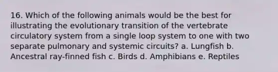 16. Which of the following animals would be the best for illustrating the evolutionary transition of the vertebrate circulatory system from a single loop system to one with two separate pulmonary and systemic circuits? a. Lungfish b. Ancestral ray-finned fish c. Birds d. Amphibians e. Reptiles