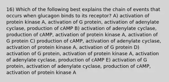 16) Which of the following best explains the chain of events that occurs when glucagon binds to its receptor? A) activation of protein kinase A, activation of G protein, activation of adenylate cyclase, production of cAMP B) activation of adenylate cyclase, production of cAMP, activation of protein kinase A, activation of G protein C) production of cAMP, activation of adenylate cyclase, activation of protein kinase A, activation of G protein D) activation of G protein, activation of protein kinase A, activation of adenylate cyclase, production of cAMP E) activation of G protein, activation of adenylate cyclase, production of cAMP, activation of protein kinase A