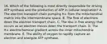 16. Which of the following is most directly responsible for driving ATP synthase and the production of ATP in cellular respiration? A. The electron transport chain pumping H+ from the mitochondrial matrix into the intermembrane space. B. The flow of electrons down the electron transport chain. C. The loss in free energy that occurs as an electron moves down the transport chain. D. The H+ electrochemical gradient across the inner mitochondria membrane. E. The ability of oxygen to rapidly capture an electron and energize ATP synthase.