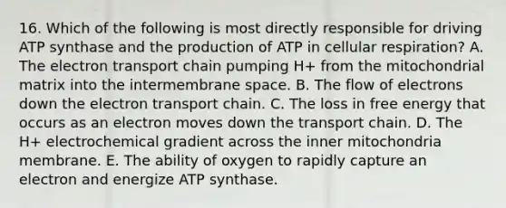 16. Which of the following is most directly responsible for driving ATP synthase and the production of ATP in cellular respiration? A. <a href='https://www.questionai.com/knowledge/k57oGBr0HP-the-electron-transport-chain' class='anchor-knowledge'>the electron transport chain</a> pumping H+ from the mitochondrial matrix into the intermembrane space. B. The flow of electrons down the electron transport chain. C. The loss in free energy that occurs as an electron moves down the transport chain. D. The H+ electrochemical gradient across the inner mitochondria membrane. E. The ability of oxygen to rapidly capture an electron and energize ATP synthase.