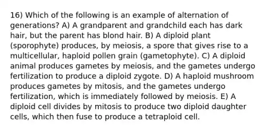 16) Which of the following is an example of alternation of generations? A) A grandparent and grandchild each has dark hair, but the parent has blond hair. B) A diploid plant (sporophyte) produces, by meiosis, a spore that gives rise to a multicellular, haploid pollen grain (gametophyte). C) A diploid animal produces gametes by meiosis, and the gametes undergo fertilization to produce a diploid zygote. D) A haploid mushroom produces gametes by mitosis, and the gametes undergo fertilization, which is immediately followed by meiosis. E) A diploid cell divides by mitosis to produce two diploid daughter cells, which then fuse to produce a tetraploid cell.