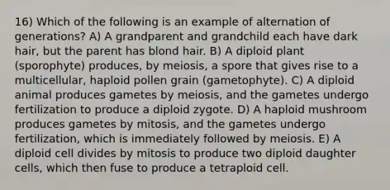 16) Which of the following is an example of alternation of generations? A) A grandparent and grandchild each have dark hair, but the parent has blond hair. B) A diploid plant (sporophyte) produces, by meiosis, a spore that gives rise to a multicellular, haploid pollen grain (gametophyte). C) A diploid animal produces gametes by meiosis, and the gametes undergo fertilization to produce a diploid zygote. D) A haploid mushroom produces gametes by mitosis, and the gametes undergo fertilization, which is immediately followed by meiosis. E) A diploid cell divides by mitosis to produce two diploid daughter cells, which then fuse to produce a tetraploid cell.