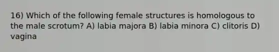 16) Which of the following female structures is homologous to the male scrotum? A) labia majora B) labia minora C) clitoris D) vagina