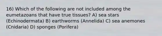 16) Which of the following are not included among the eumetazoans that have true tissues? A) sea stars (Echinodermata) B) earthworms (Annelida) C) sea anemones (Cnidaria) D) sponges (Porifera)