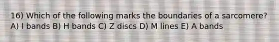 16) Which of the following marks the boundaries of a sarcomere? A) I bands B) H bands C) Z discs D) M lines E) A bands