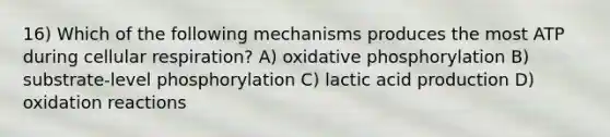 16) Which of the following mechanisms produces the most ATP during cellular respiration? A) oxidative phosphorylation B) substrate-level phosphorylation C) lactic acid production D) oxidation reactions