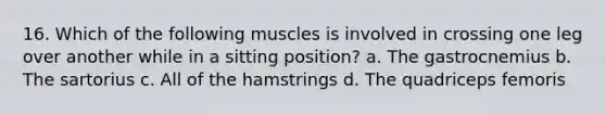 16. Which of the following muscles is involved in crossing one leg over another while in a sitting position? a. The gastrocnemius b. The sartorius c. All of the hamstrings d. The quadriceps femoris