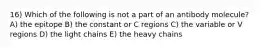 16) Which of the following is not a part of an antibody molecule? A) the epitope B) the constant or C regions C) the variable or V regions D) the light chains E) the heavy chains