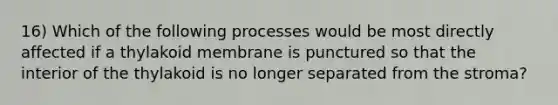 16) Which of the following processes would be most directly affected if a thylakoid membrane is punctured so that the interior of the thylakoid is no longer separated from the stroma?