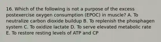 16. Which of the following is not a purpose of the excess postexercise oxygen consumption (EPOC) in muscle? A. To neutralize carbon dioxide buildup B. To replenish the phosphagen system C. To oxidize lactate D. To serve elevated metabolic rate E. To restore resting levels of ATP and CP