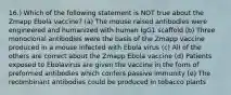 16.) Which of the following statement is NOT true about the Zmapp Ebola vaccine? (a) The mouse raised antibodies were engineered and humanized with human IgG1 scaffold (b) Three monoclonal antibodies were the basis of the Zmapp vaccine produced in a mouse infected with Ebola virus (c) All of the others are correct about the Zmapp Ebola vaccine (d) Patients exposed to Ebolavirus are given the vaccine in the form of preformed antibodies which confers passive immunity (e) The recombinant antibodies could be produced in tobacco plants