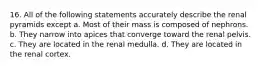 16. All of the following statements accurately describe the renal pyramids except a. Most of their mass is composed of nephrons. b. They narrow into apices that converge toward the renal pelvis. c. They are located in the renal medulla. d. They are located in the renal cortex.