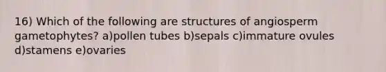 16) Which of the following are structures of angiosperm gametophytes? a)pollen tubes b)sepals c)immature ovules d)stamens e)ovaries