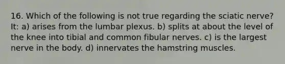 16. Which of the following is not true regarding the sciatic nerve? It: a) arises from the lumbar plexus. b) splits at about the level of the knee into tibial and common fibular nerves. c) is the largest nerve in the body. d) innervates the hamstring muscles.